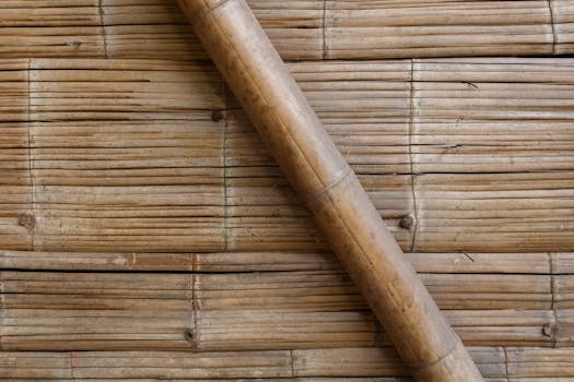 Wood in Construction: A Key to Sustainable Building and Eco-Friendly Benefits