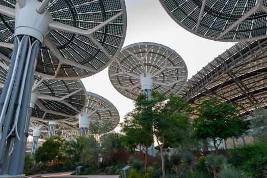 Reviving Wood in Modern Architecture: Sustainability Meets Innovation