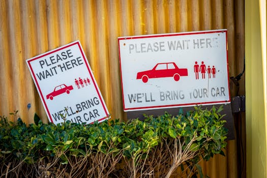 Expert Insights on Bringing Life Back to Your Antique Wooden Furniture