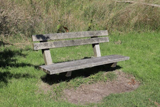 Choosing Wood for Furniture: Impact on Longevity, Style, and Cost