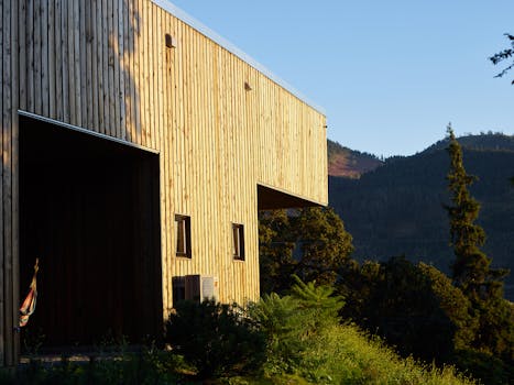 Exploring Wood's Role in Eco-Friendly Building: A Deep Dive into Sustainability