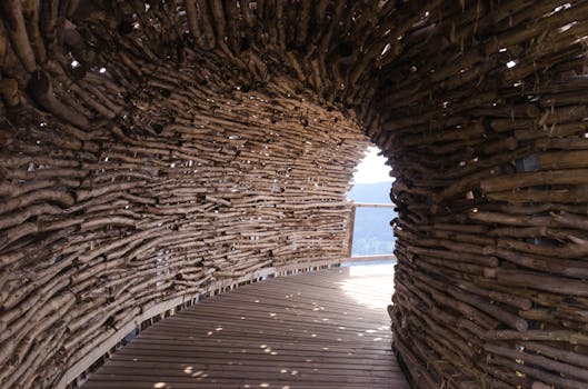 2024 Wooden Interiors: Innovations in Design, Sustainability & Tech