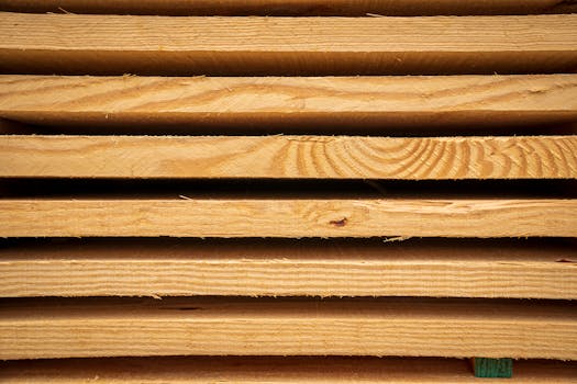 Eco-Friendly Wood Options: A Guide to Sustainable Building Materials